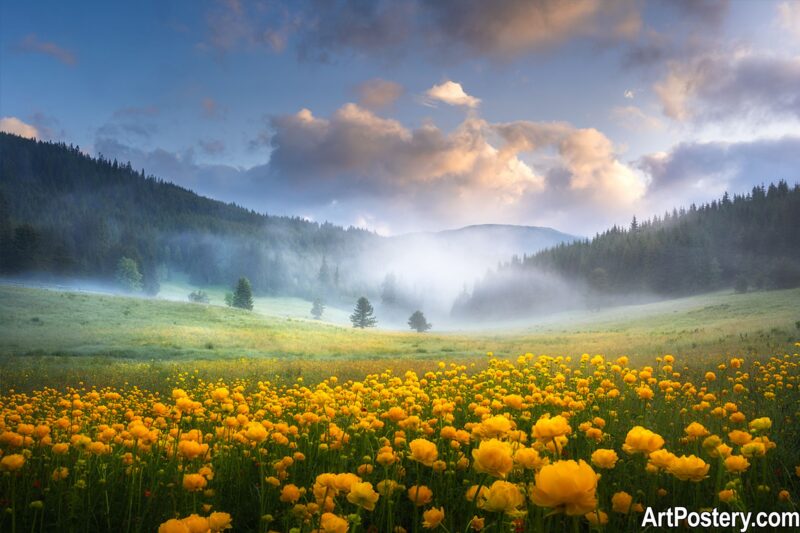 Nature Prints poster showing a misty meadow with yellow wildflowers, forested hills, and a soft cloudy sky