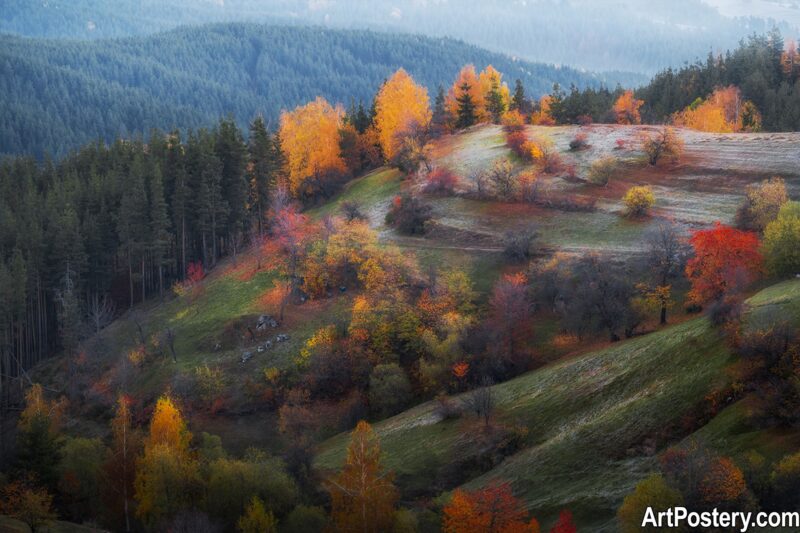 Nature Prints poster showing a misty autumn hillside with colorful trees, rolling green slopes, and layered forested mountains.