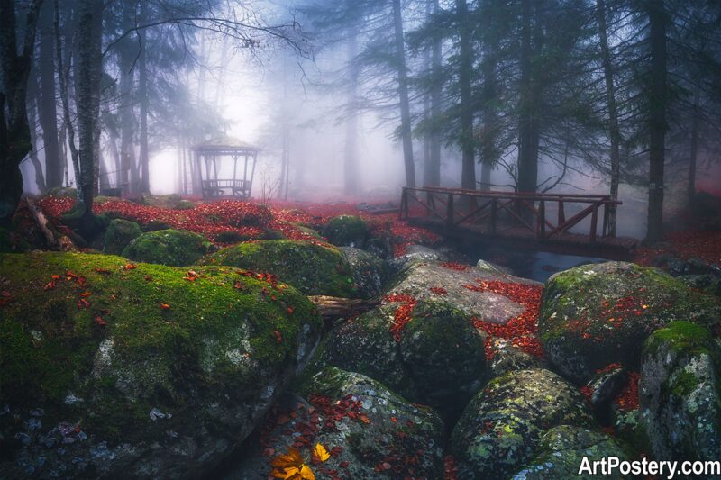 Nature Prints poster of a misty forest with mossy rocks, a wooden bridge, red leaves, and tall trees in fog.