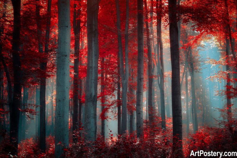 Nature Prints poster of a misty forest with tall dark trees and vivid red leaves glowing in soft blue light