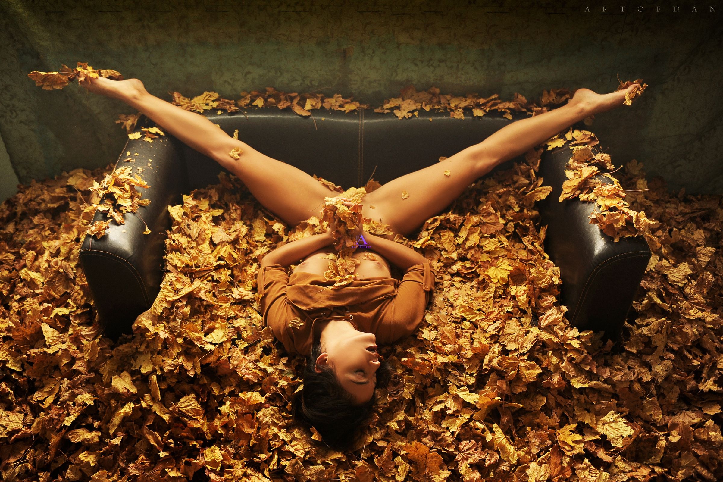 Fine Art Erotic Poster 117