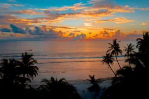 Tropical Shoreline with Clear Blue Water Photographic Poster 108