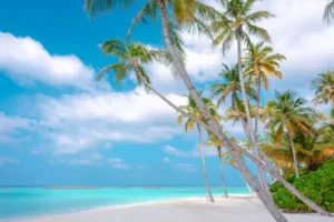 White Sand Beach and Clear Shallow Water Photographic Poster 116