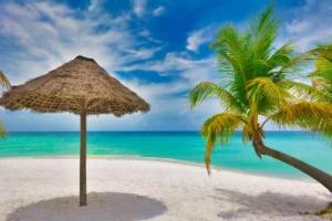 Tropical Island Shoreline from Above Photographic Poster 118