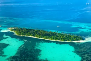 Tree-Covered Island and Coral Reef Photographic Print 130