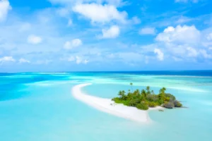 Palm Island Shoreline and Turquoise Sea Photographic Print 132