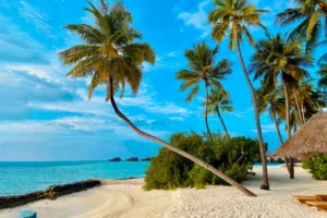 Tropical Island Coast and Coral Reef Photographic Print 133