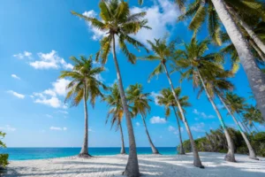 Aerial Tropical Atoll and Lagoon Photographic Print 134