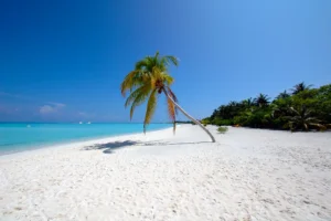 Island Resort in a Blue Lagoon Photographic Print 135