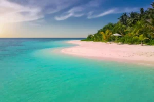 Aerial Palm Island and Coral Reef Photographic Print 139