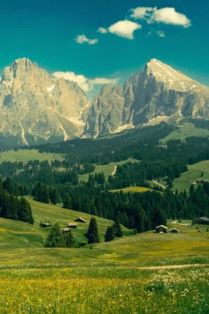 Alpine Meadow Beneath Rugged Peaks Photographic Poster 91