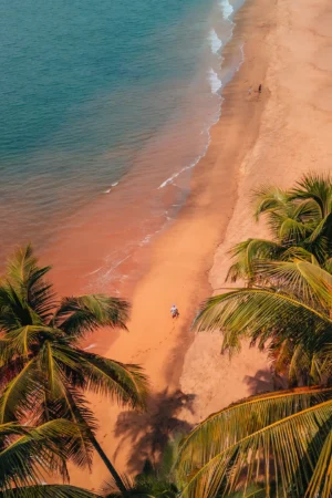 Tropical Beach with Palm Trees Photographic Print 96